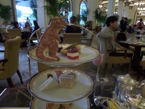 SAMSUNG CAMERA PICTURES