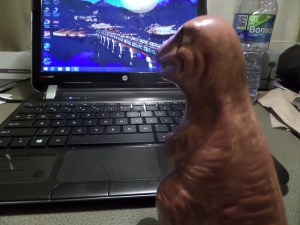 SAMSUNG CAMERA PICTURES